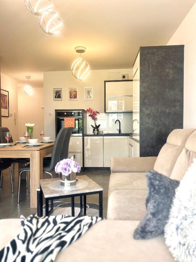 Downtownapartments Andy Air-Conditioned, Underground Parking Available Ряшів Екстер'єр фото